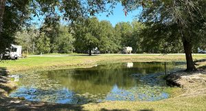 Large pond in the middle of Texas Star RV Community.