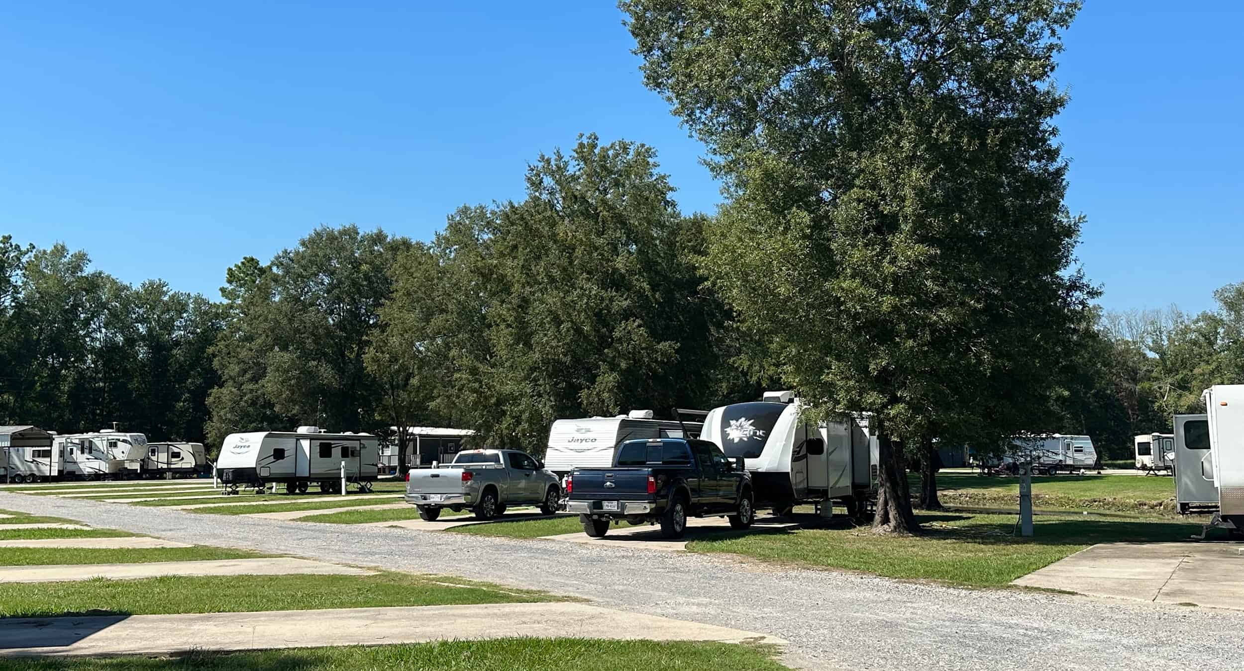 Trees, concrete pads, and RVs at Texas Star RV Community.